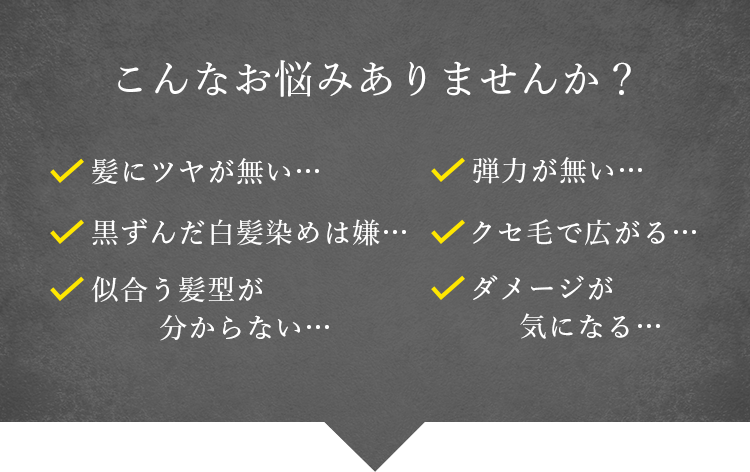 こんなお悩みありませんか？・髪にツヤが無い・弾力が無い・黒ずんだ白髪染めは嫌・クセ毛で広がる・似合う髪型が分からない・ダメージが気になる